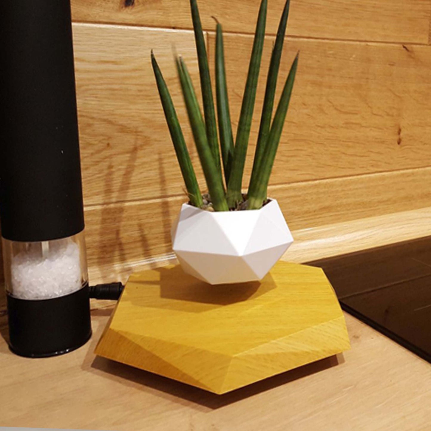 Floating Magnetic Levitating Flowerpot - Innovative Home & Office Decor - Unique Gift Idea