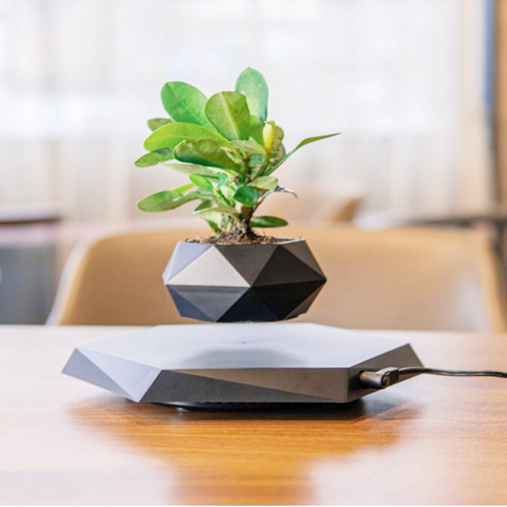 Floating Magnetic Levitating Flowerpot - Innovative Home & Office Decor - Unique Gift Idea