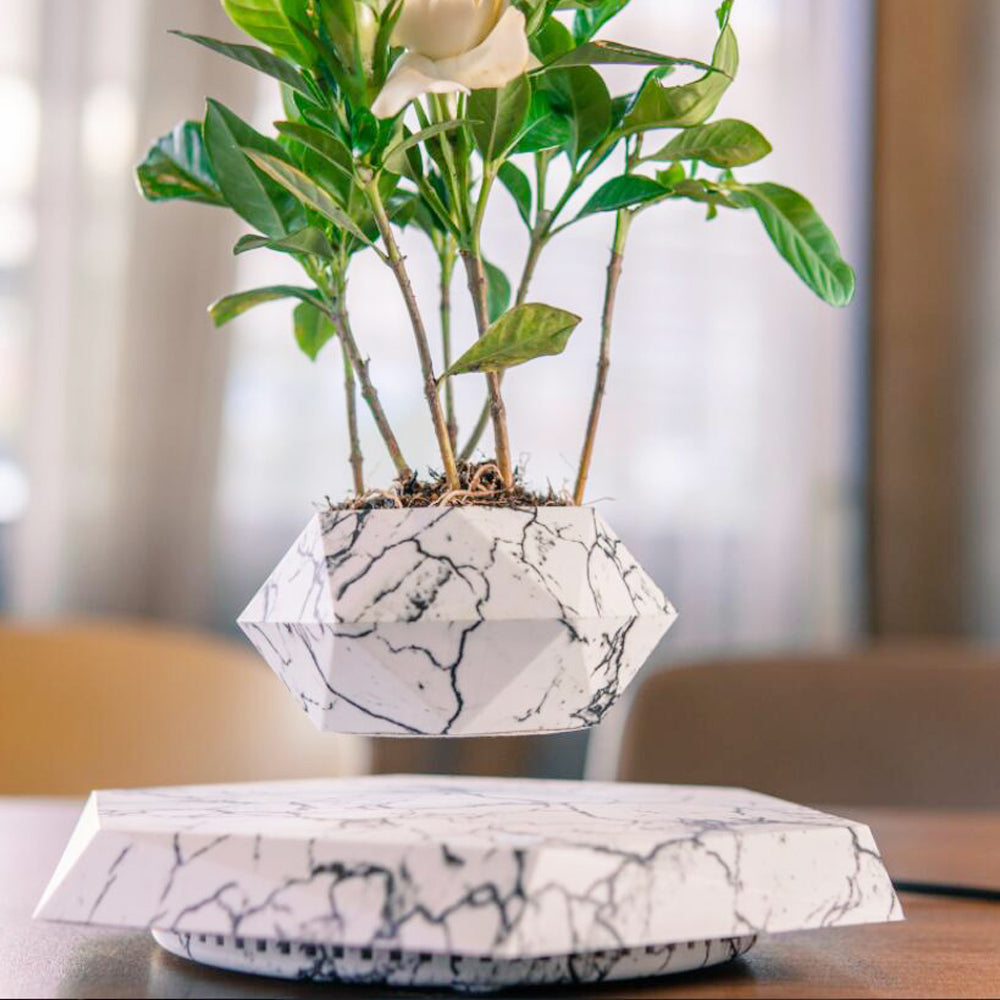 Floating Magnetic Levitating Flowerpot - Innovative Home & Office Decor - Unique Gift Idea