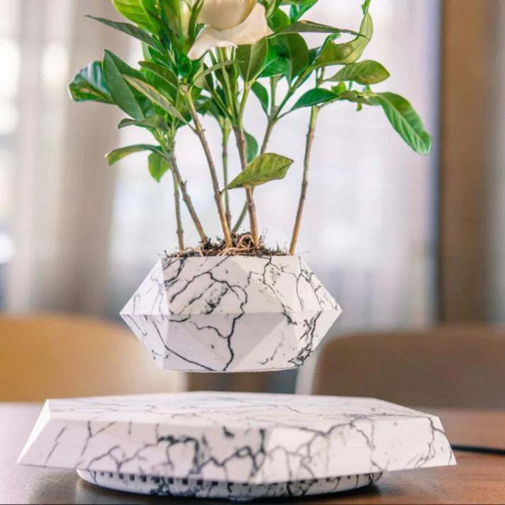Flower Pots
