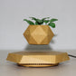 Floating Magnetic Levitating Flowerpot - Innovative Home & Office Decor - Unique Gift Idea