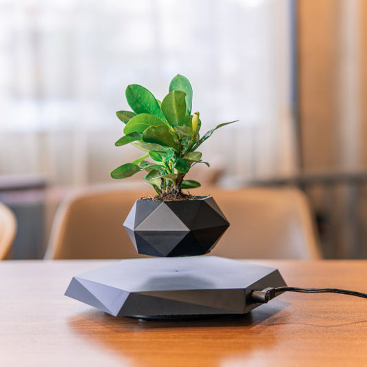 Floating Magnetic Levitating Flowerpot - Innovative Home & Office Decor - Unique Gift Idea