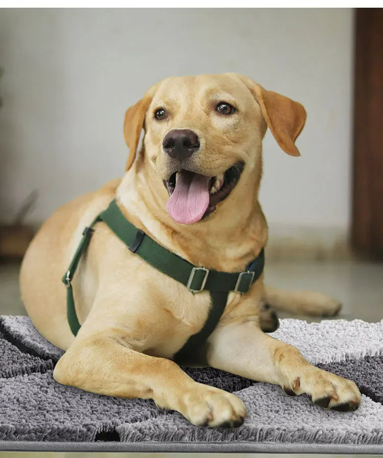FamilyHomeDecor™ Wear-Resistant Bathroom Floor Mat