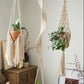 Instagram Nordic Style Indian Style Wall Hanging Decorative Cotton String Straw Rope Woven Cradle and Flower Pot Hang Rope