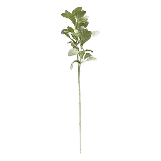 Pier 1 Lambs Ear 27.5" Stem