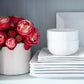 Pier 1 Luminous Porcelain Square White Dinner Plates, Set of 4