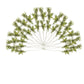 Pier 1 Set Of 12 Lambs Ear Stems 27.5" - Pier 1